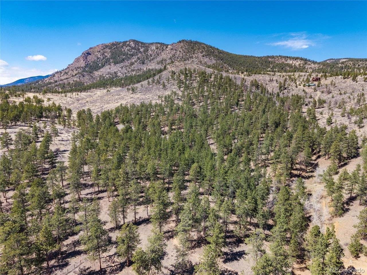 Lot 12A Bailey, Bailey, CO 80421