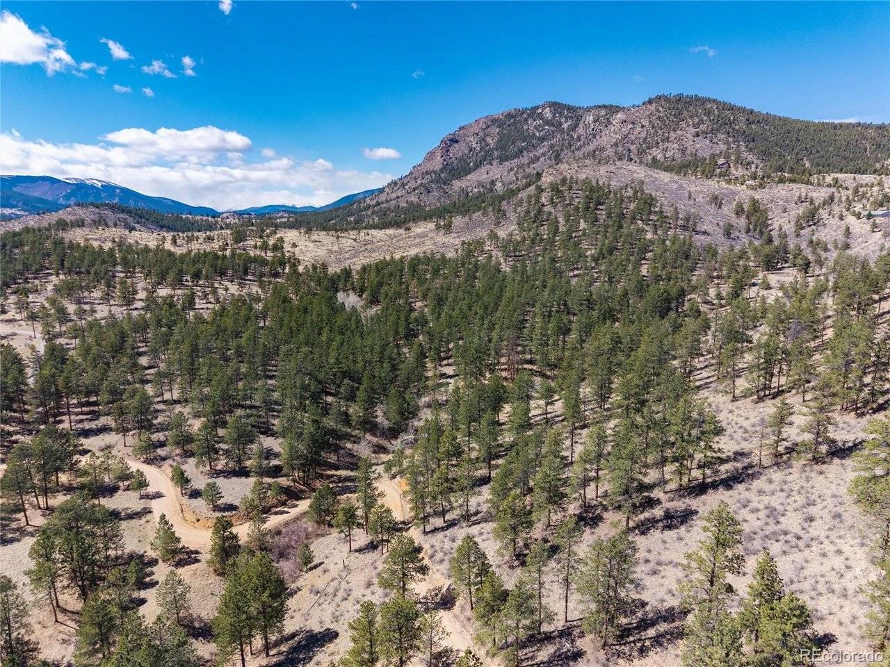Lot 12A Bailey, Bailey, CO 80421