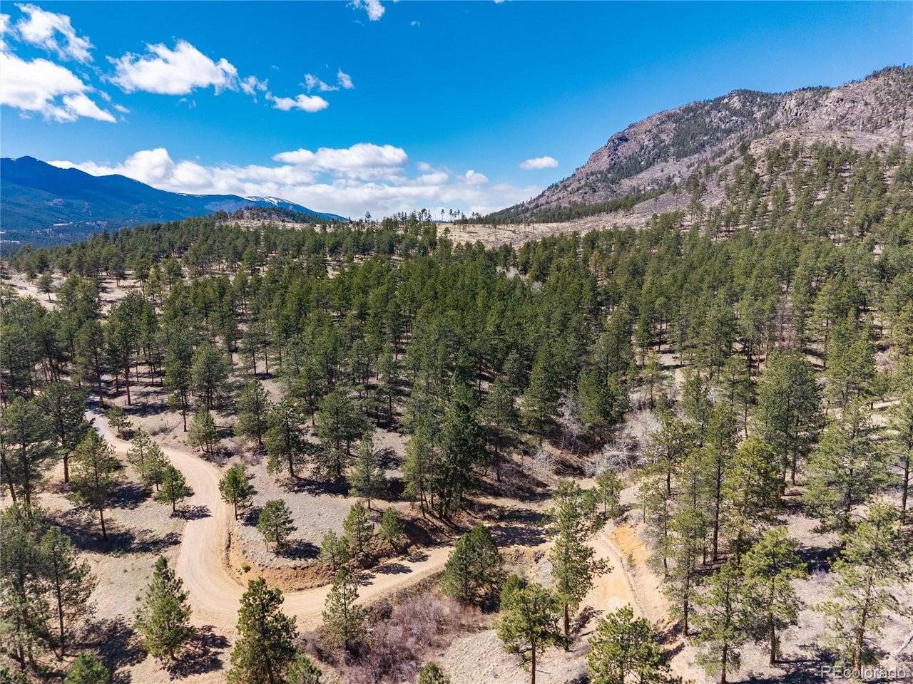 Lot 12A Bailey, Bailey, CO 80421