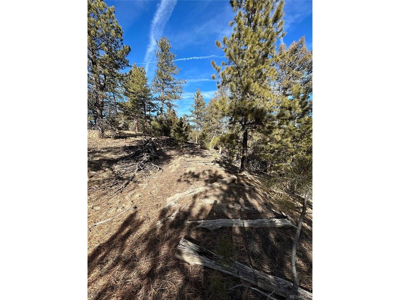 4376 Campfire, Hartsel, CO 80449
