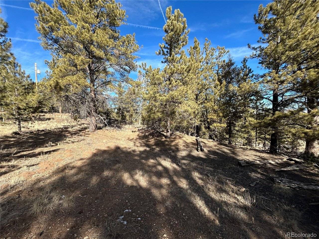 4376 Campfire, Hartsel, CO 80449