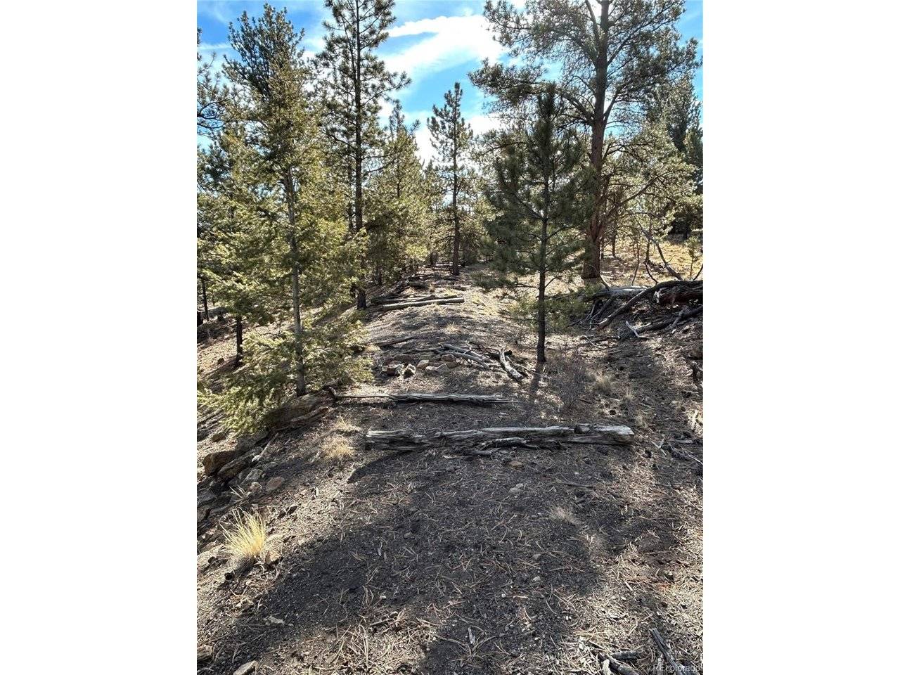 4376 Campfire, Hartsel, CO 80449