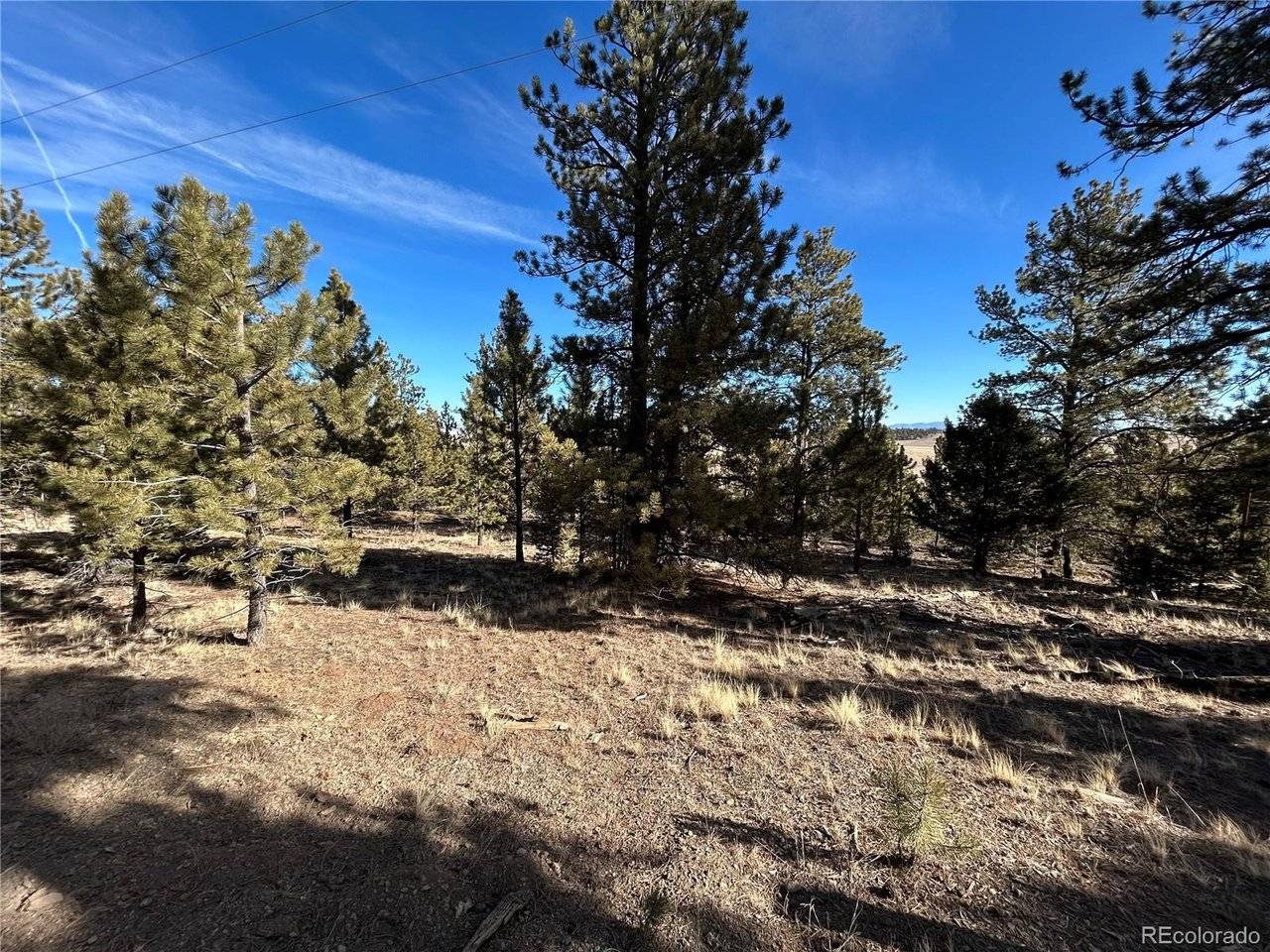 4376 Campfire, Hartsel, CO 80449