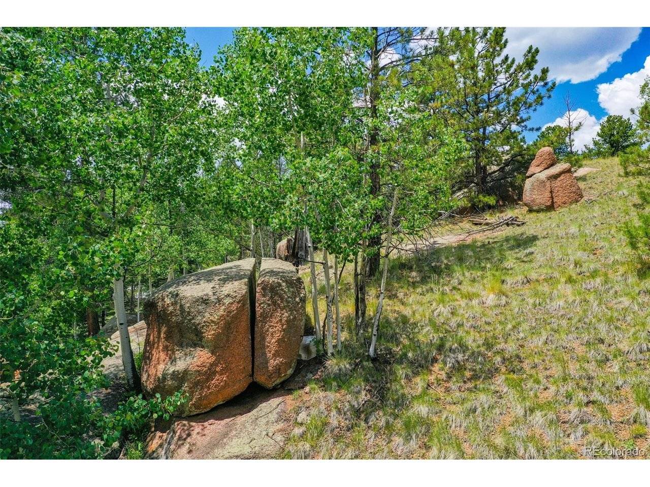 549 Spring Valley, Florissant, CO 80816