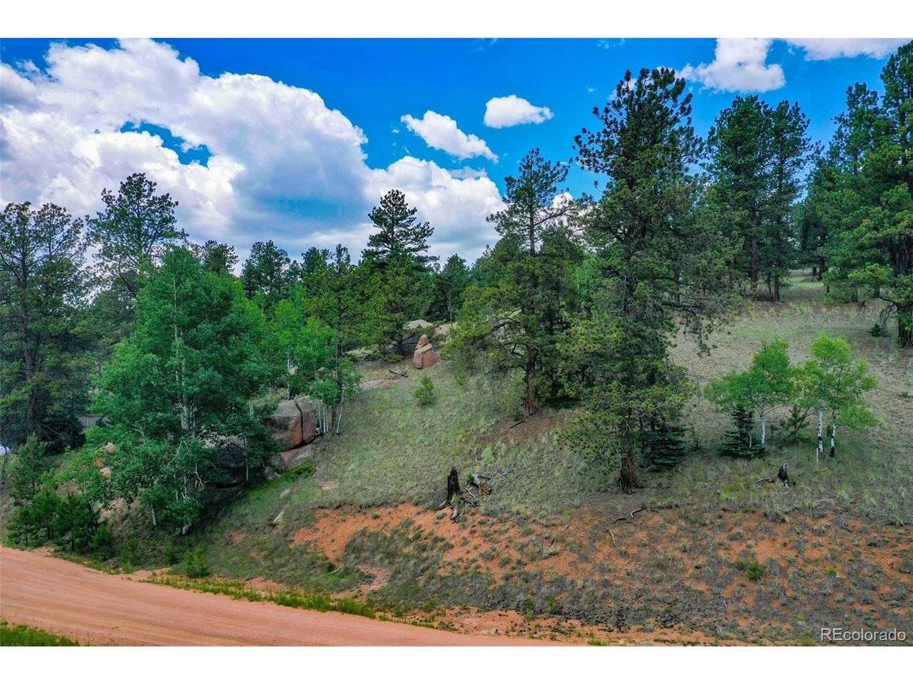 549 Spring Valley, Florissant, CO 80816