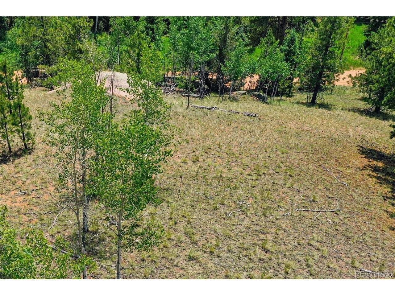 549 Spring Valley, Florissant, CO 80816