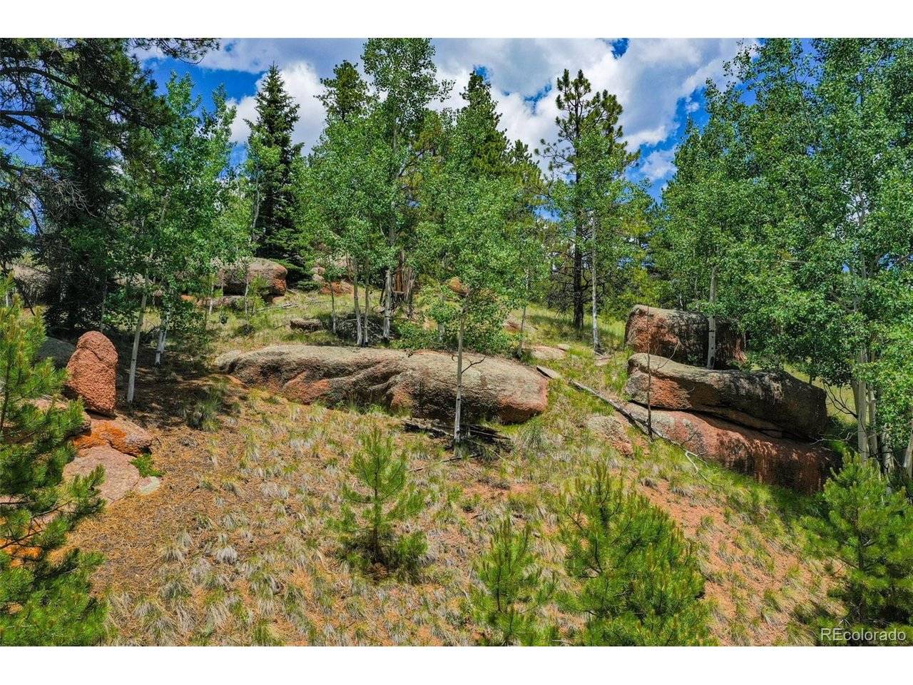 549 Spring Valley, Florissant, CO 80816