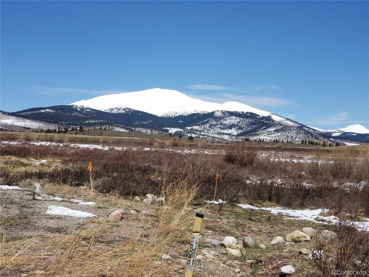 Meadow, Fairplay, CO 80440