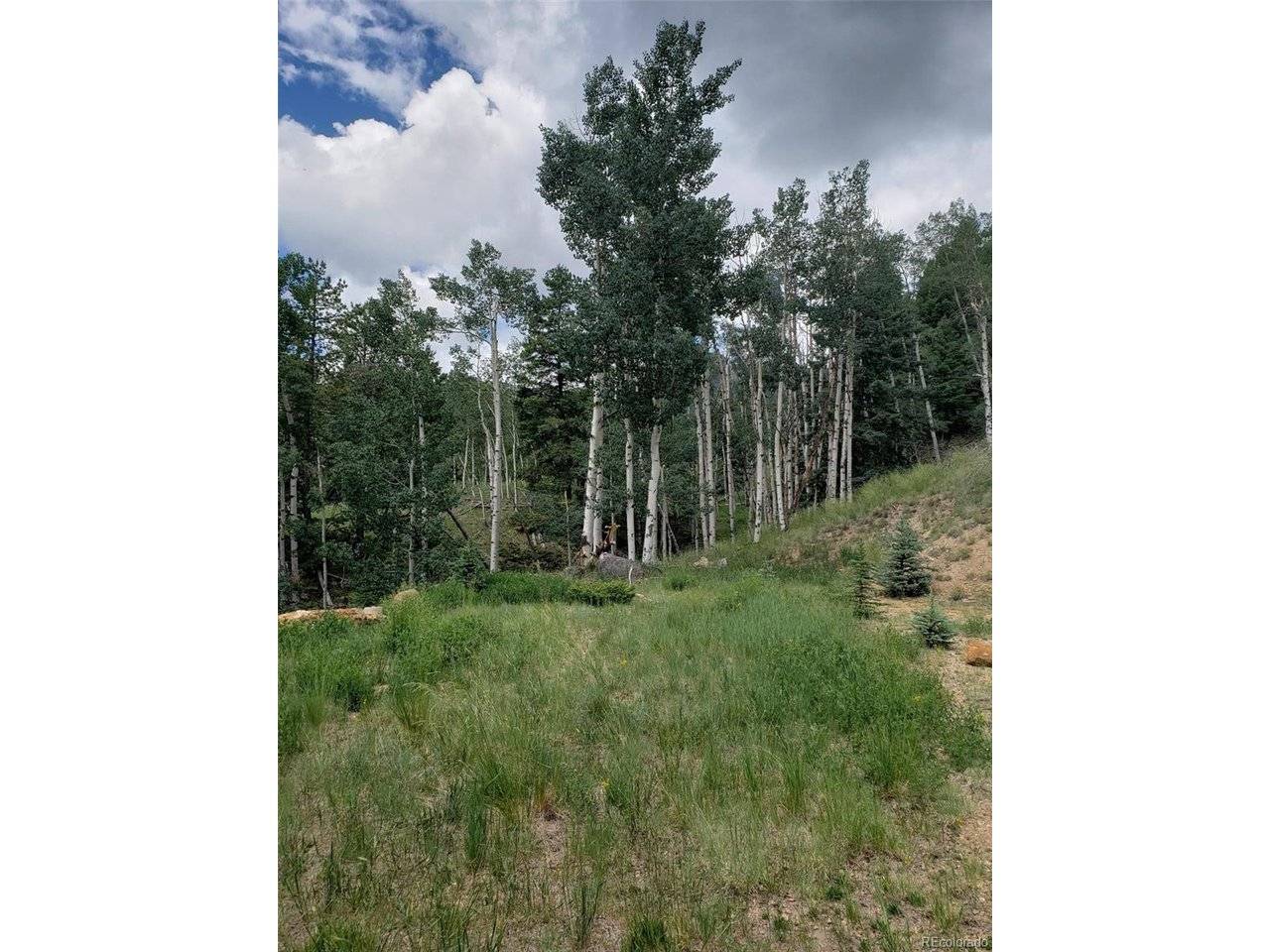 10th, Jasper, CO 81144