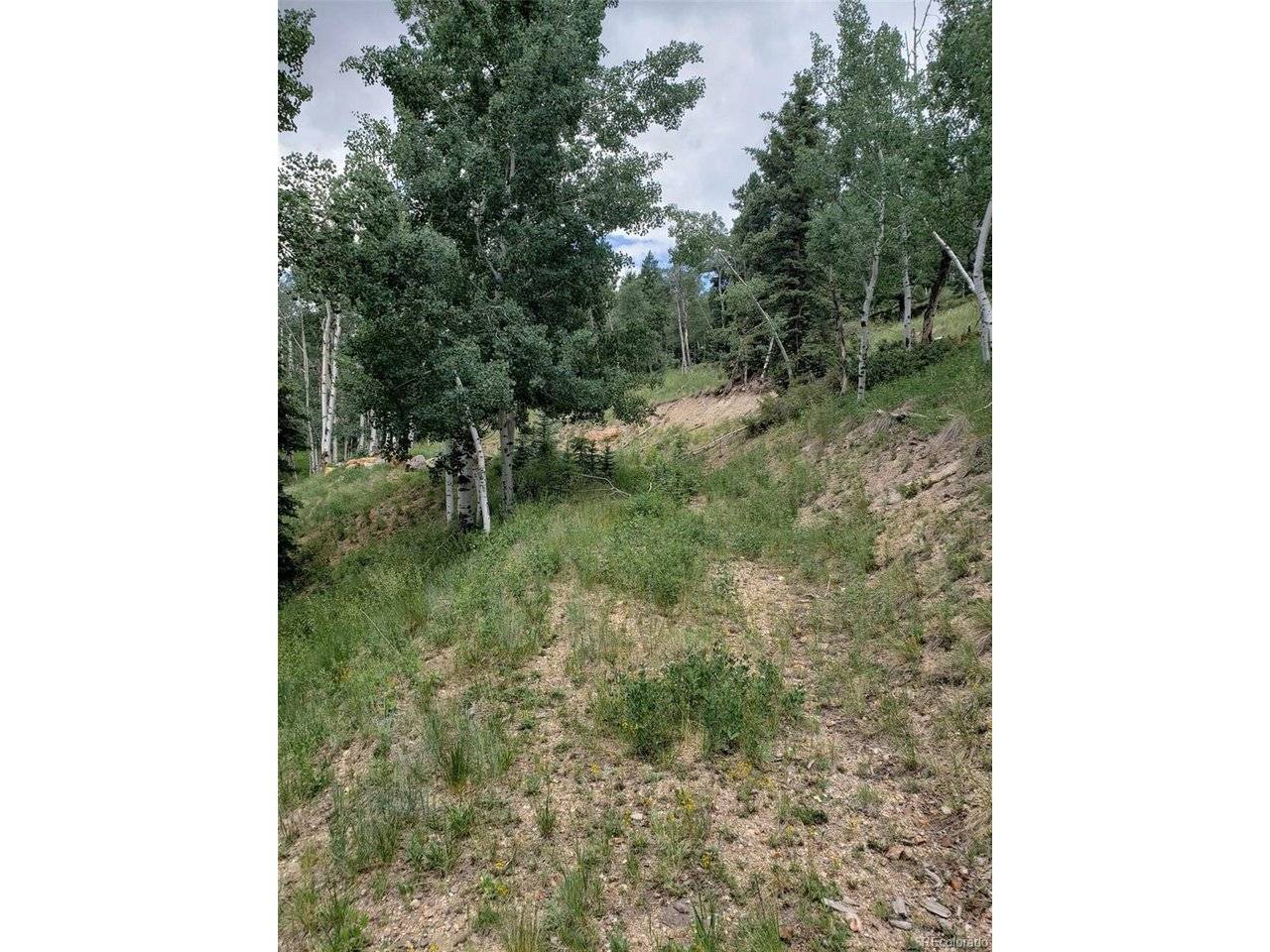 10th, Jasper, CO 81144