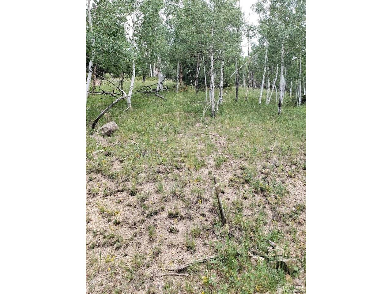 10th, Jasper, CO 81144