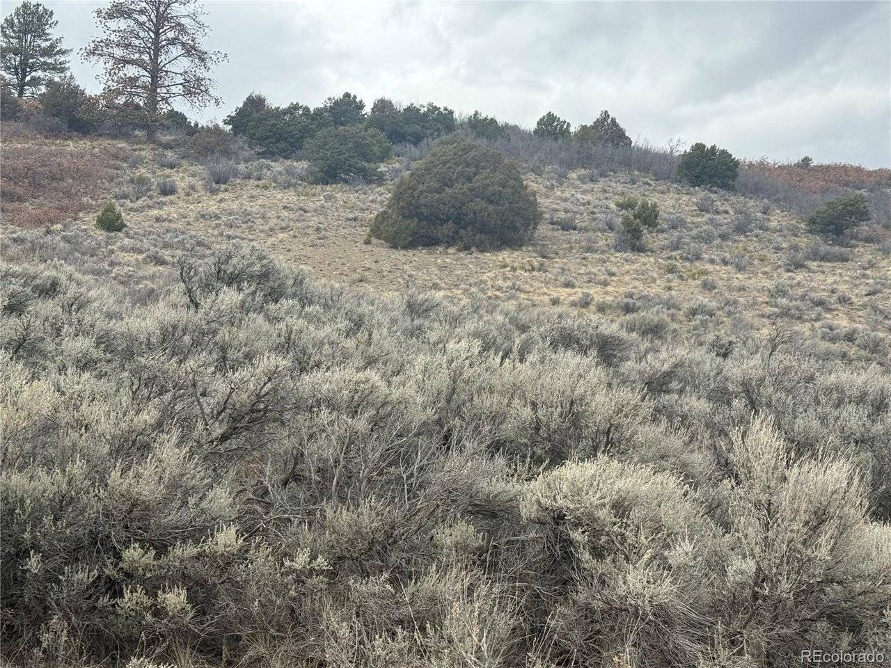 129 Flavin, Fort Garland, CO 81133