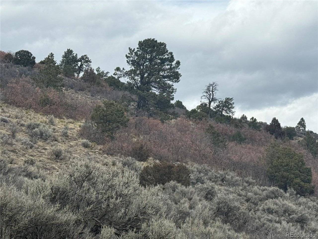 129 Flavin, Fort Garland, CO 81133