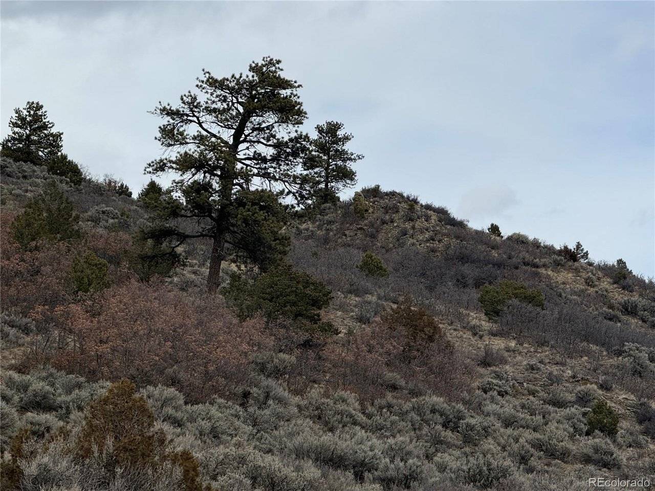 129 Flavin, Fort Garland, CO 81133