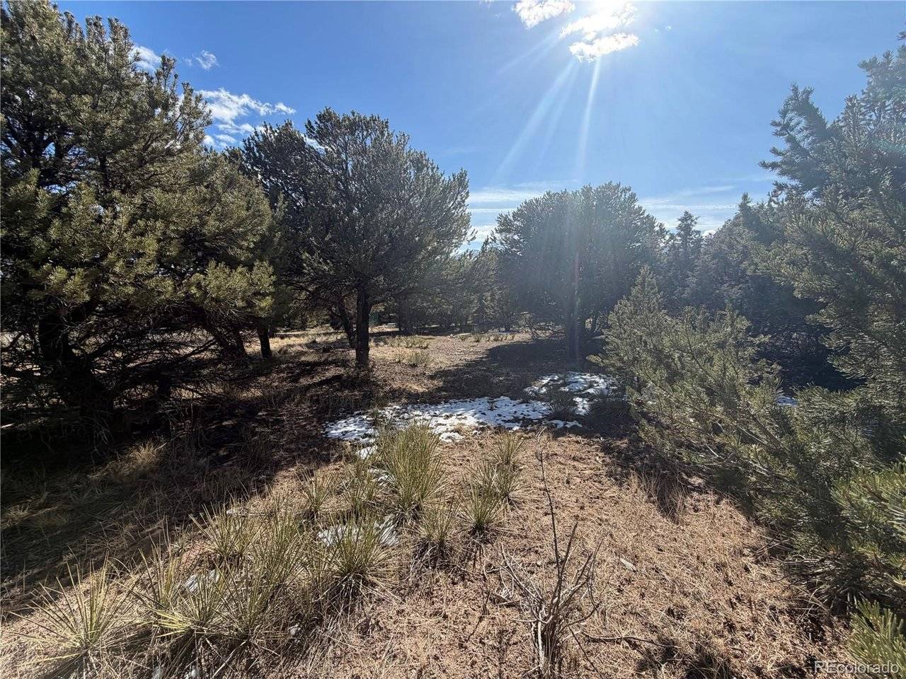 390 Cameron Pass, South Fork, CO 81154