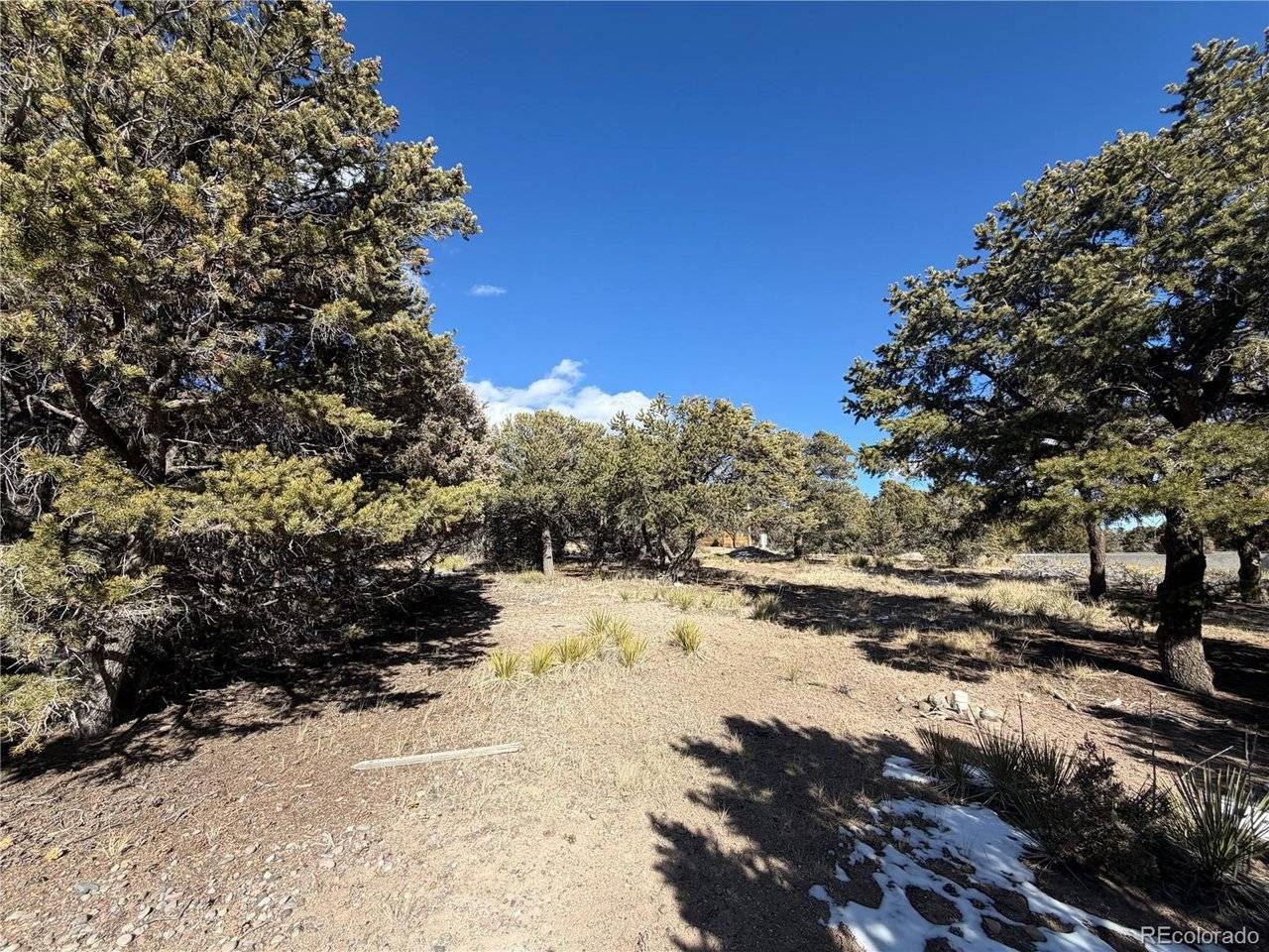 390 Cameron Pass, South Fork, CO 81154
