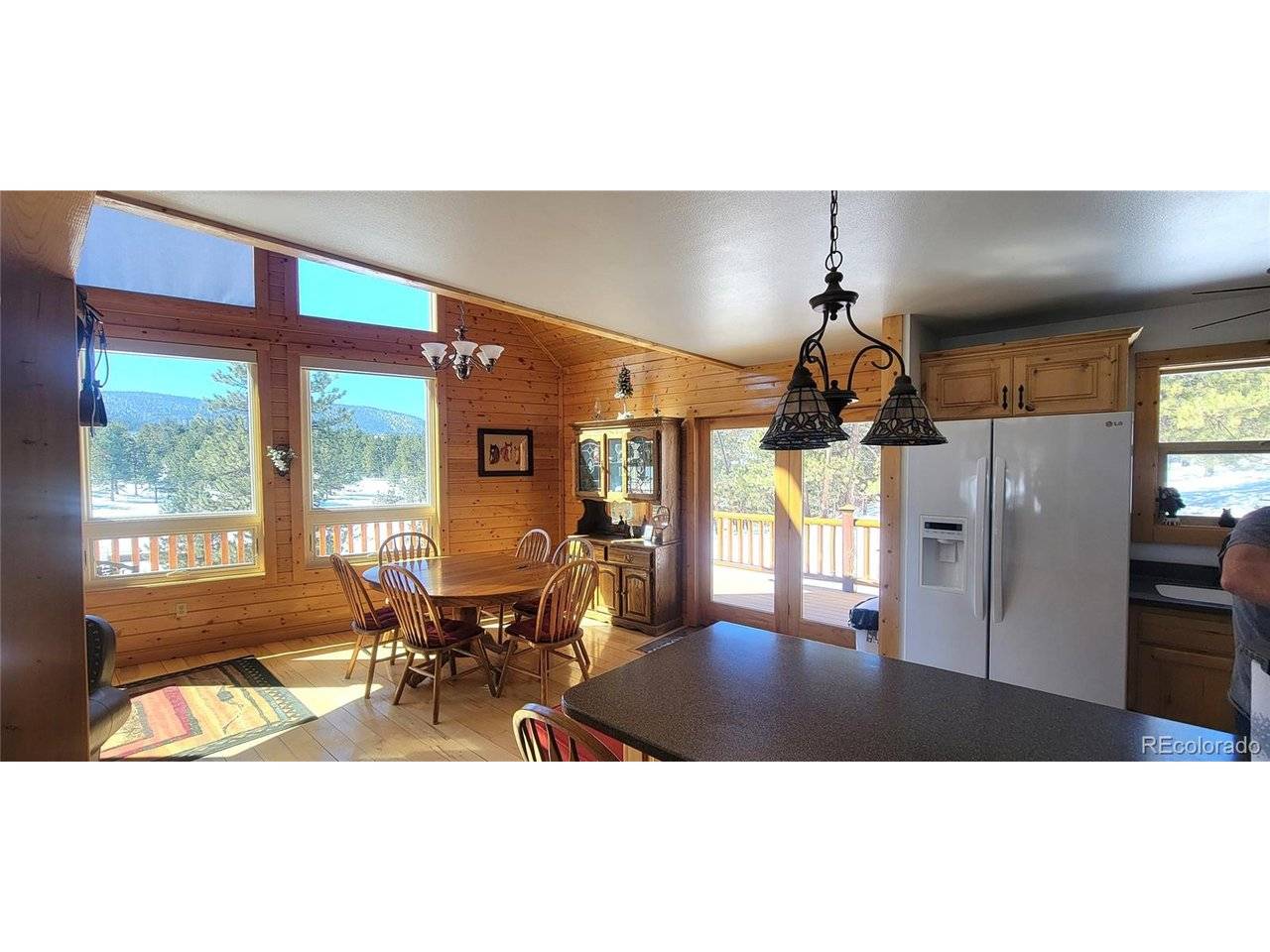 1321 Bristlecone, Guffey, CO 80820
