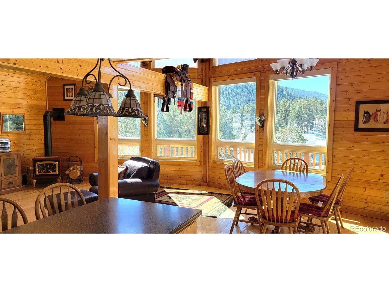 1321 Bristlecone, Guffey, CO 80820