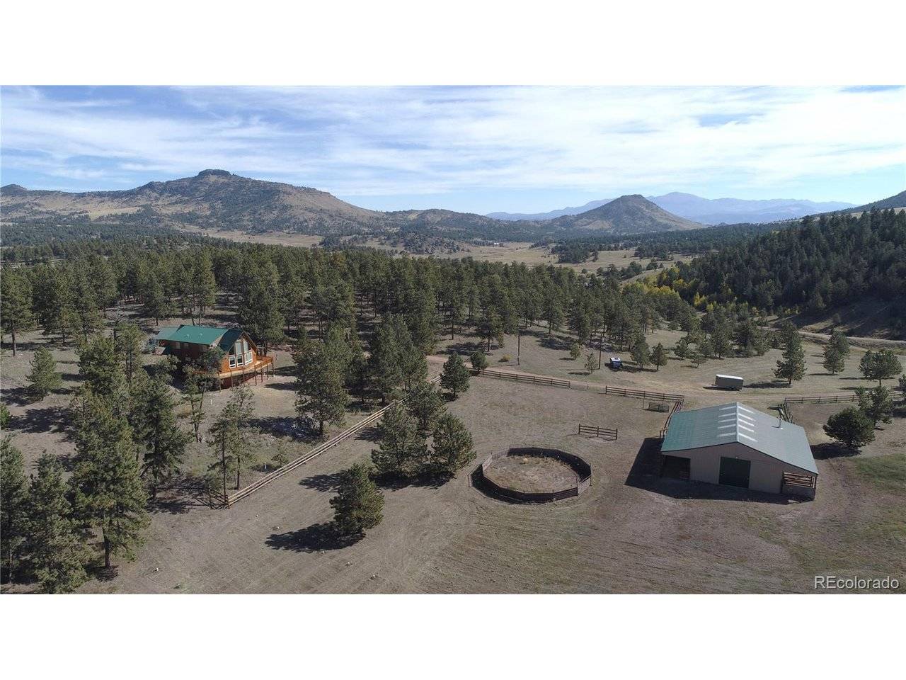 1321 Bristlecone, Guffey, CO 80820