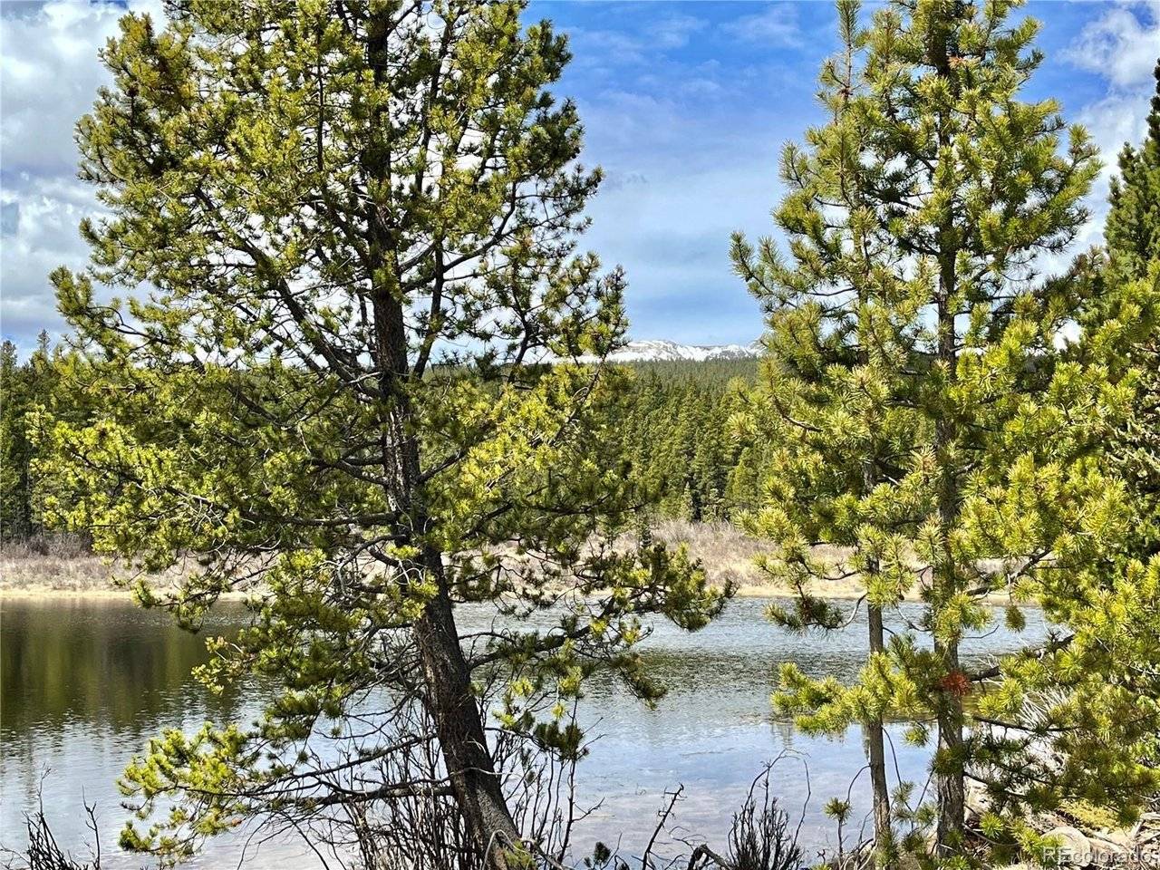 2203 Lakeside, Fairplay, CO 80440