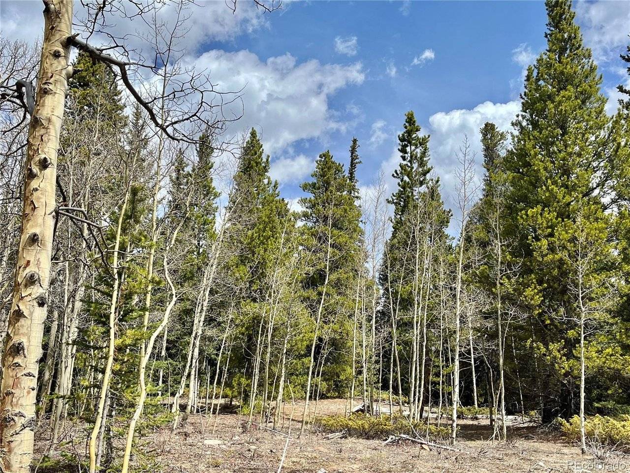 2203 Lakeside, Fairplay, CO 80440