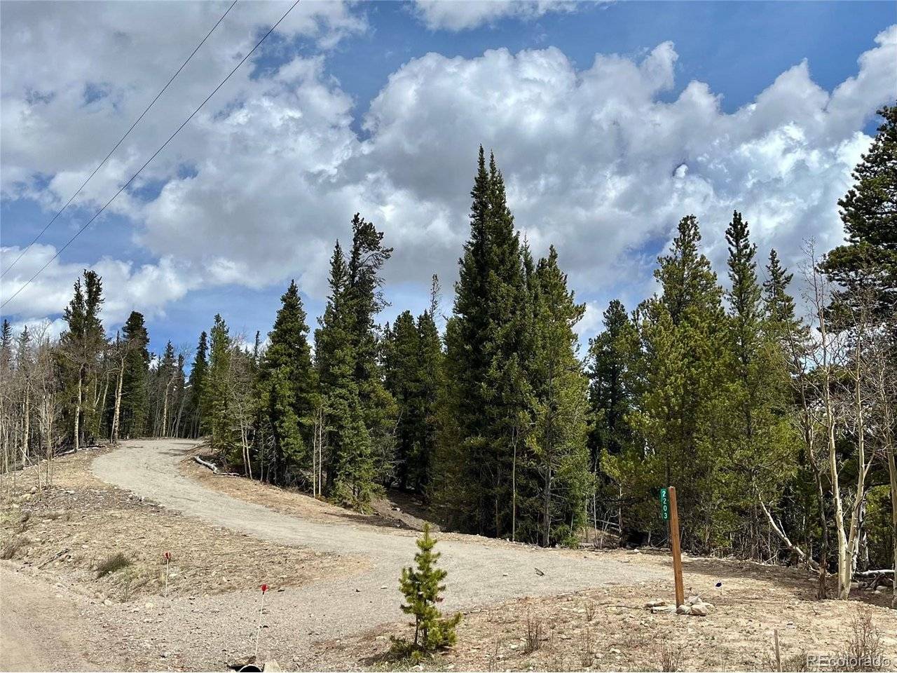 2203 Lakeside, Fairplay, CO 80440