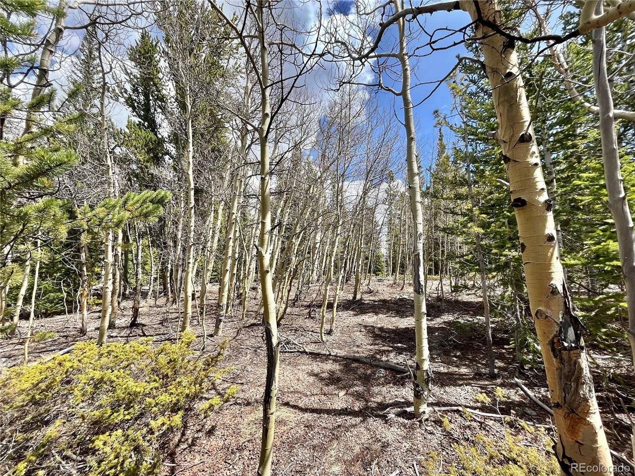 2203 Lakeside, Fairplay, CO 80440