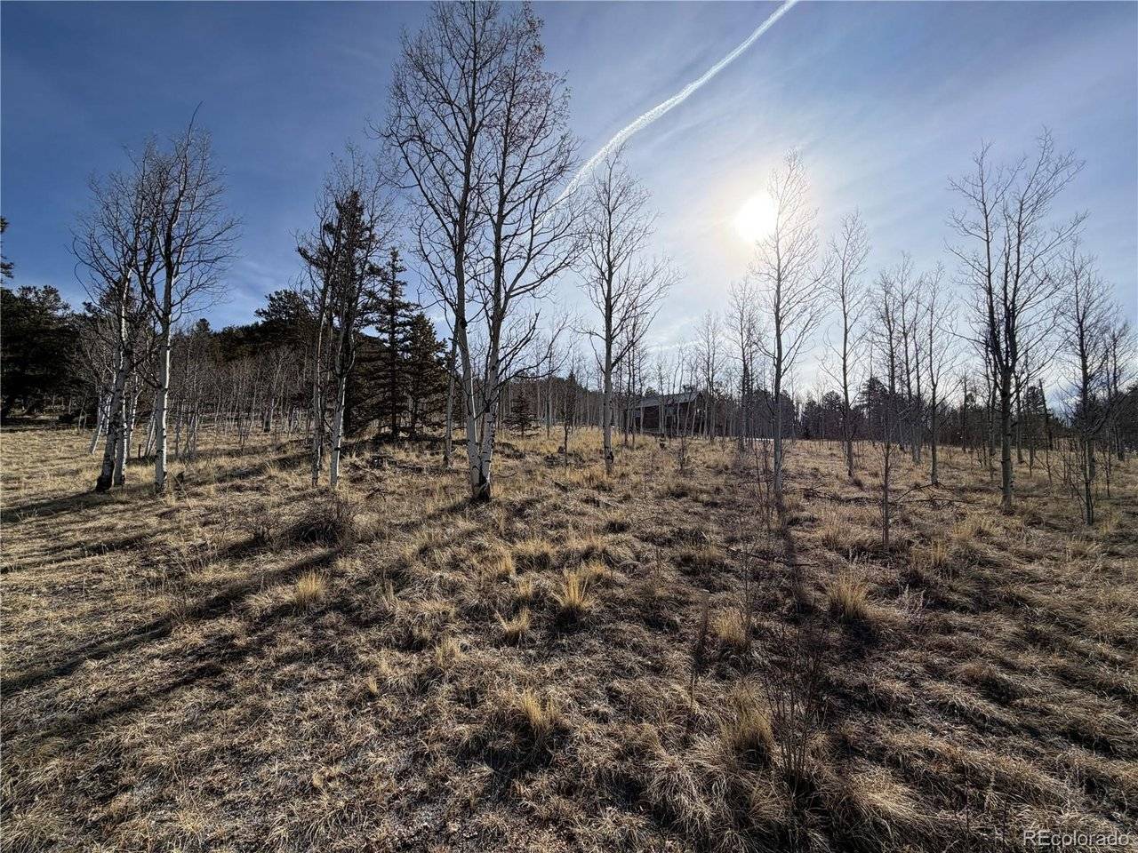 32 Sugar Loaf, Jefferson, CO 80456