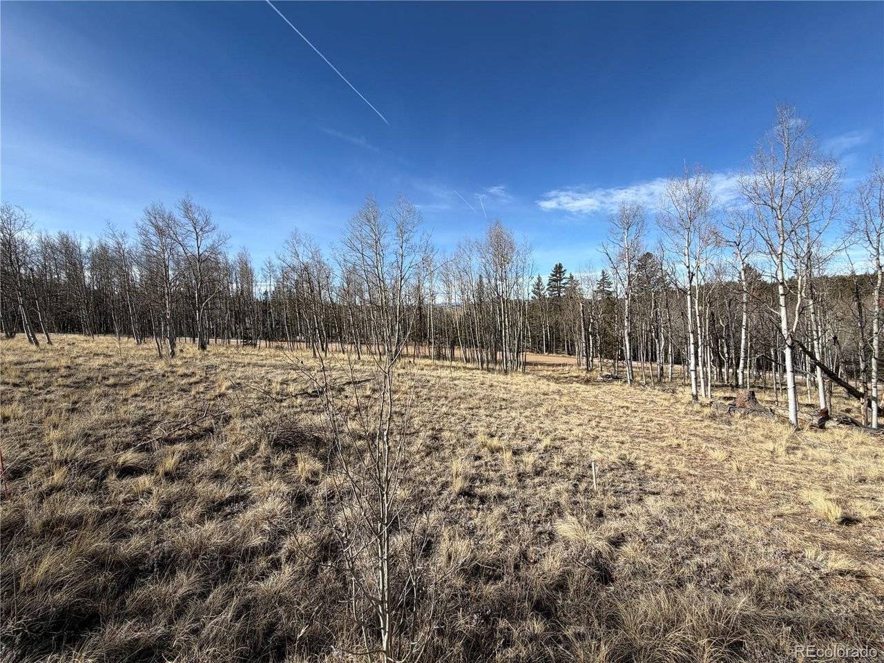32 Sugar Loaf, Jefferson, CO 80456