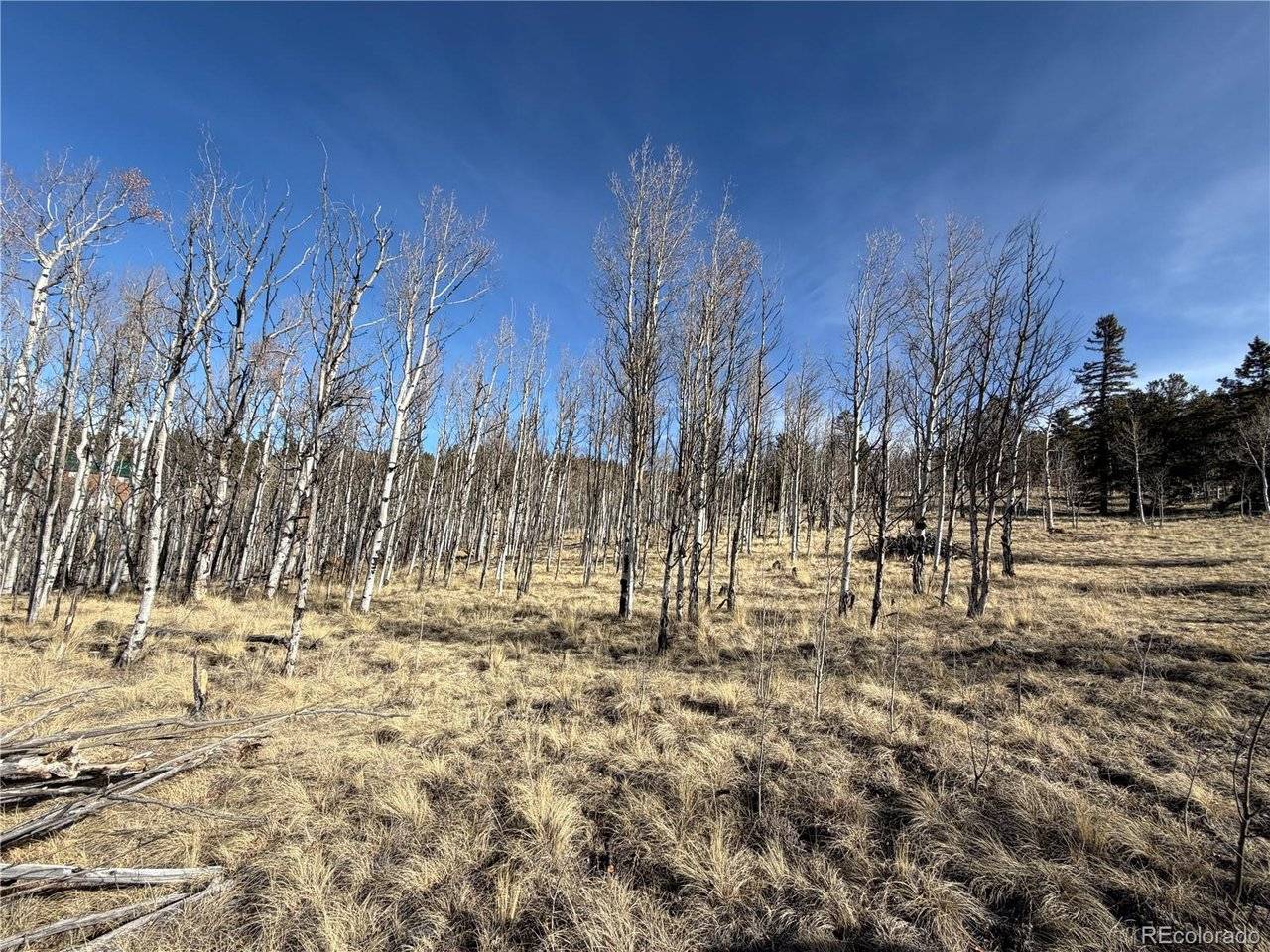 32 Sugar Loaf, Jefferson, CO 80456