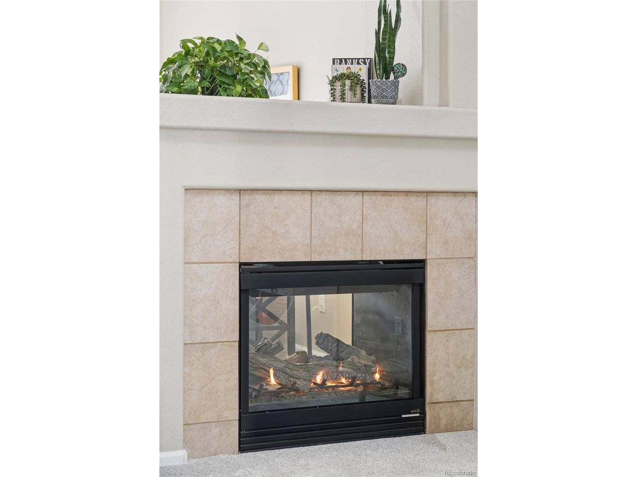 7466 S Norfolk, Aurora, CO 80016