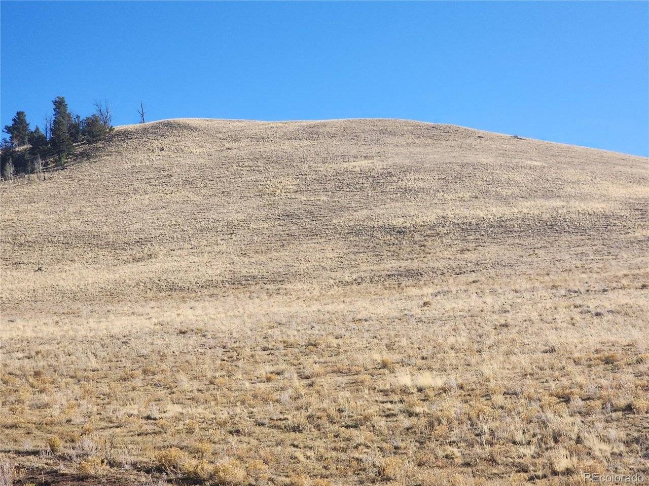 Coweta, Hartsel, CO 80449
