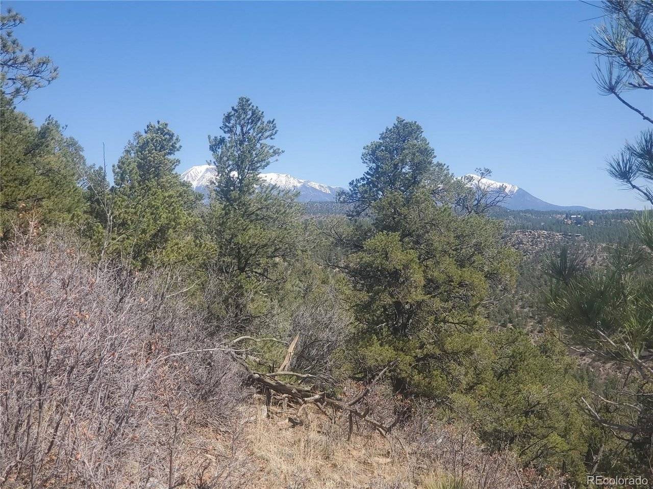 County Rd 23.3, Weston, CO 81091