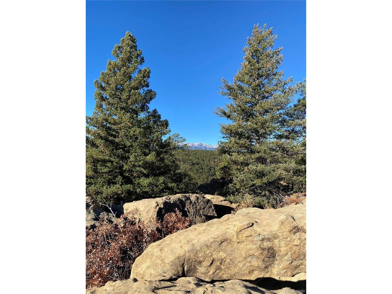 County Rd 23.3, Weston, CO 81091