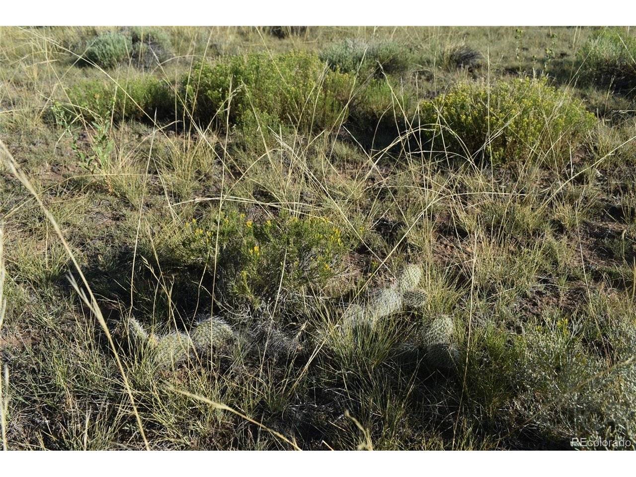 0 Lizard, Gardner, CO 81040