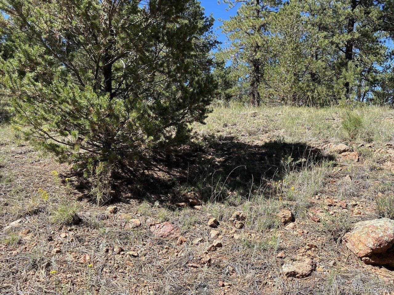 82 Kiowa, Westcliffe, CO 81252