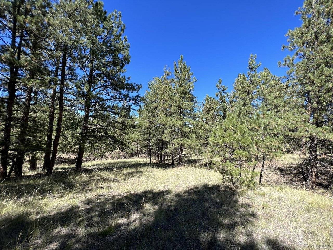 82 Kiowa, Westcliffe, CO 81252