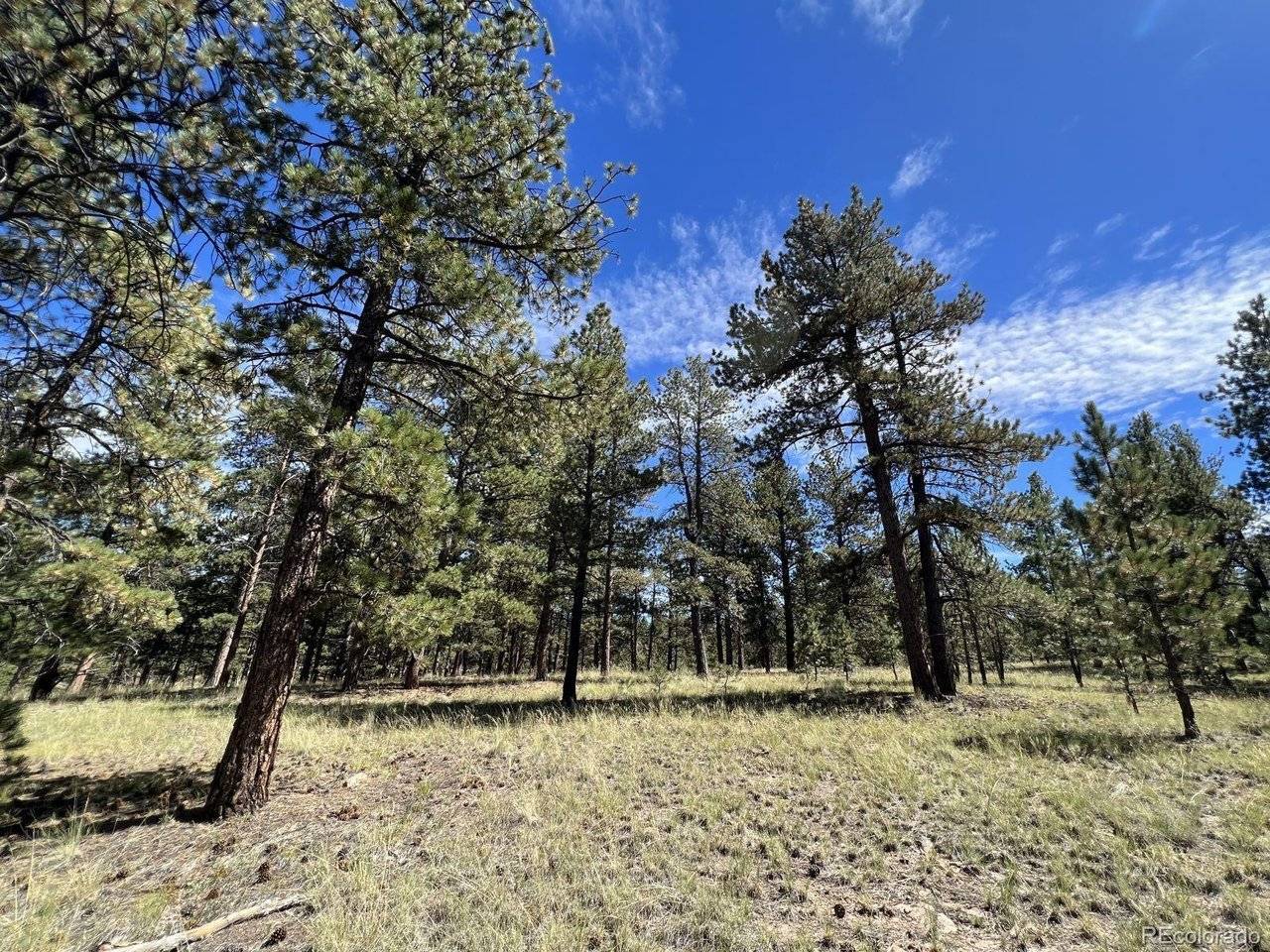 82 Kiowa, Westcliffe, CO 81252
