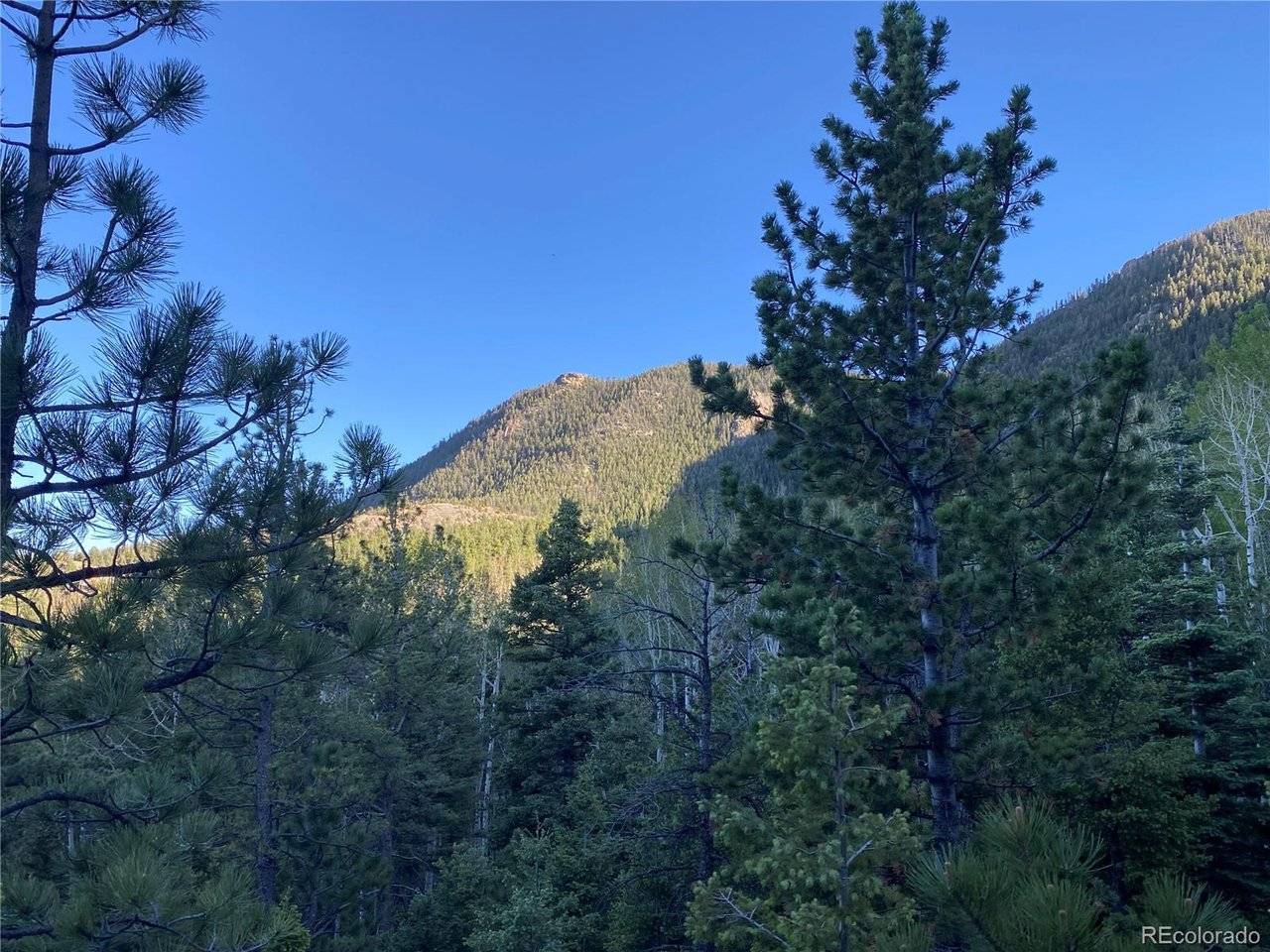 285 Forest, Manitou Springs, CO 80829