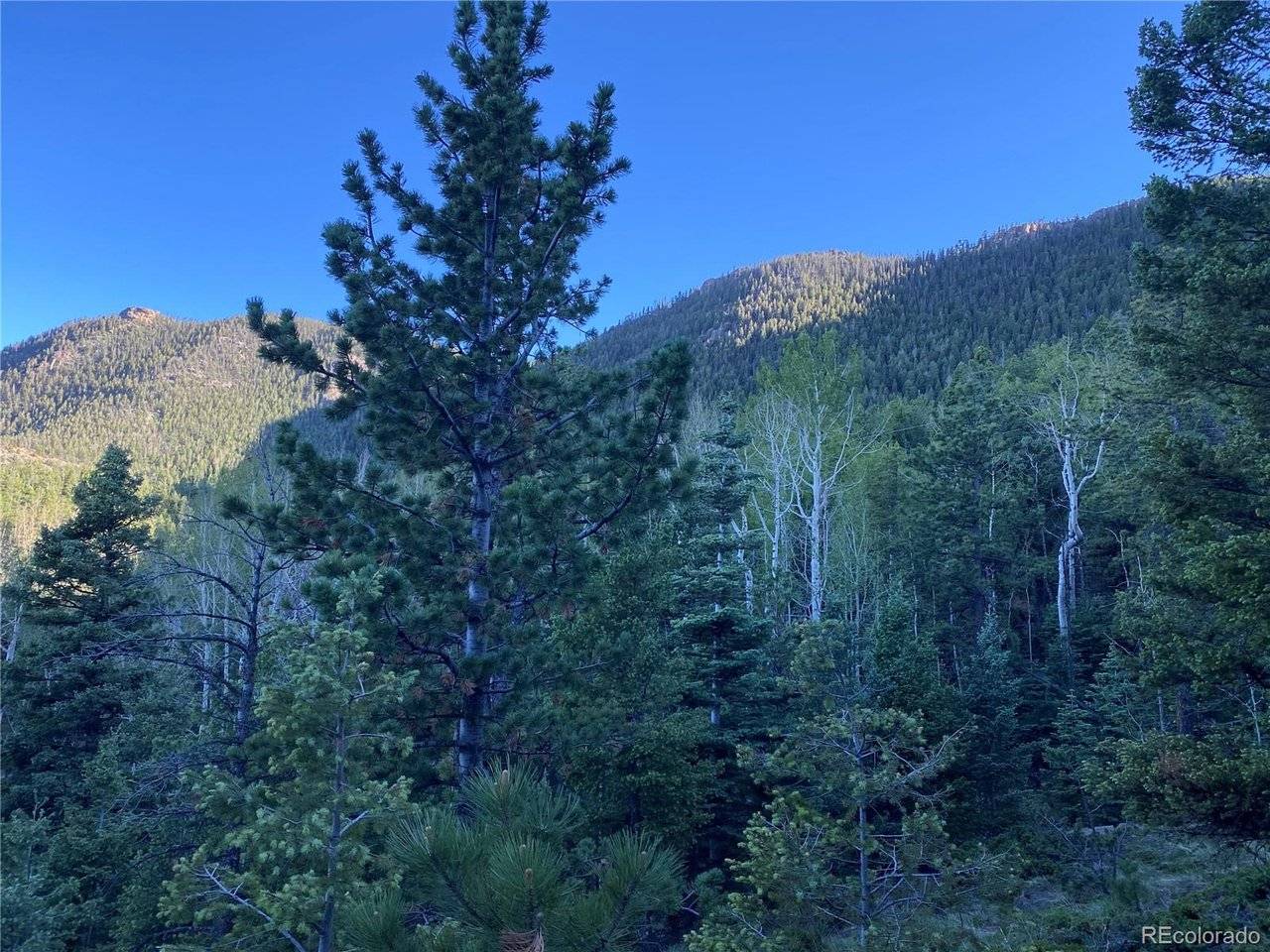 285 Forest, Manitou Springs, CO 80829