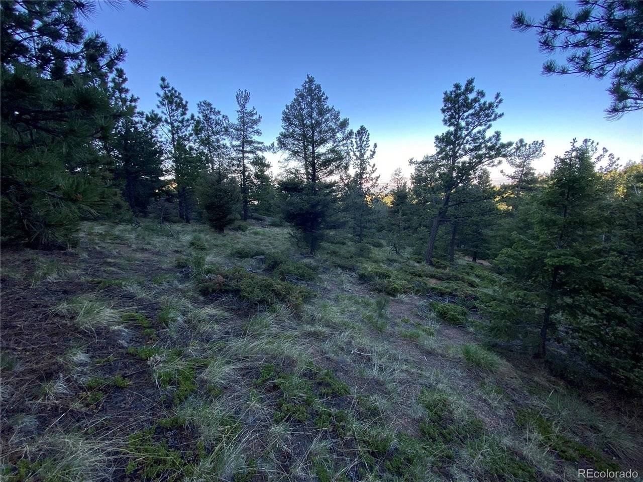 285 Forest, Manitou Springs, CO 80829
