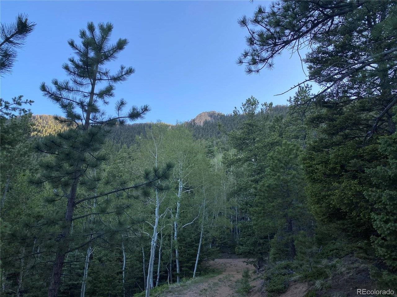 285 Forest, Manitou Springs, CO 80829