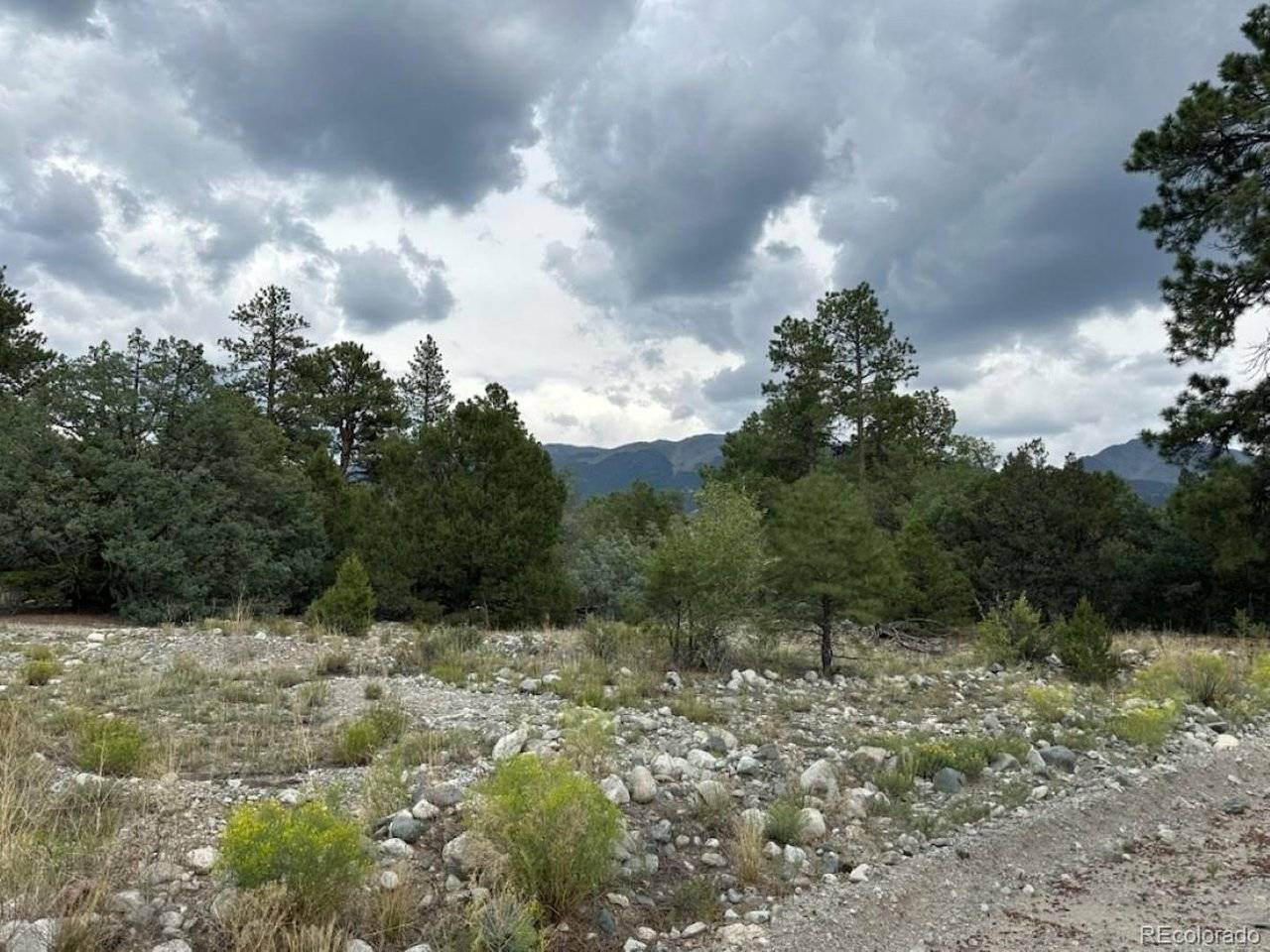22 Cub Creek, Mosca, CO 81146