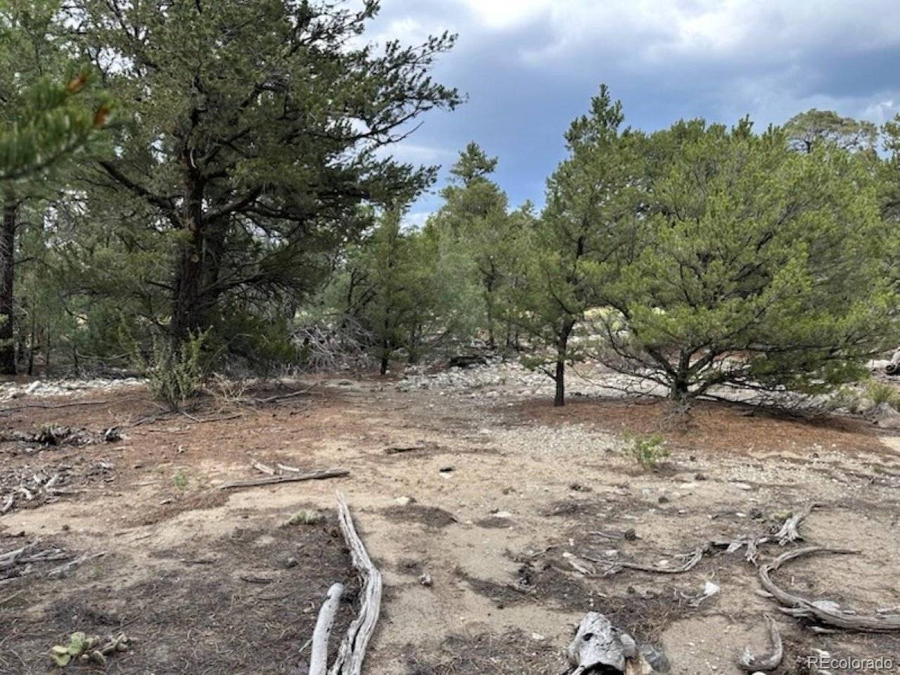 22 Cub Creek, Mosca, CO 81146