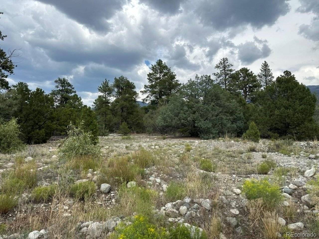 22 Cub Creek, Mosca, CO 81146