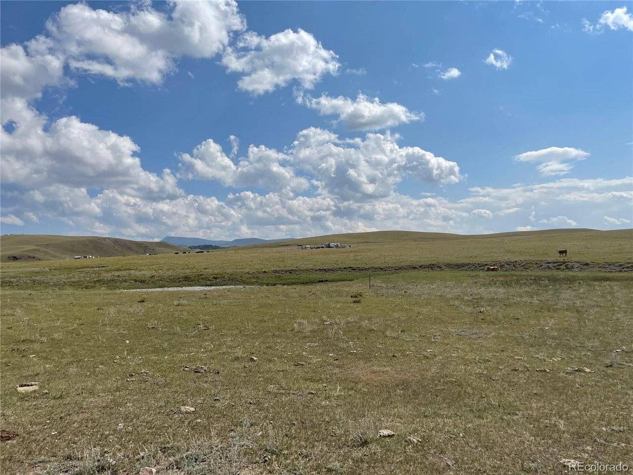 770 Pawnee, Hartsel, CO 80449