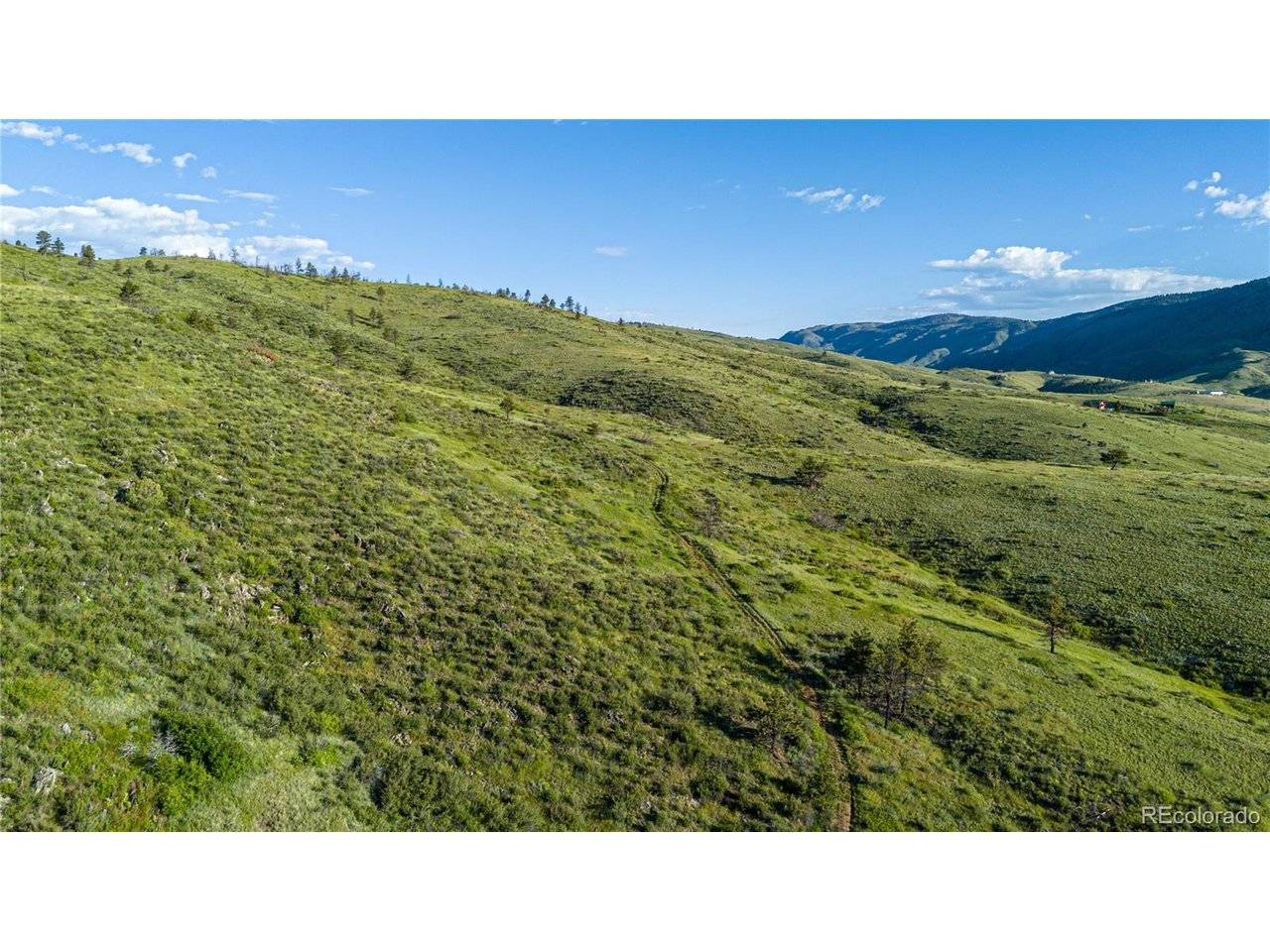 12711 Buckhorn, Loveland, CO 80538