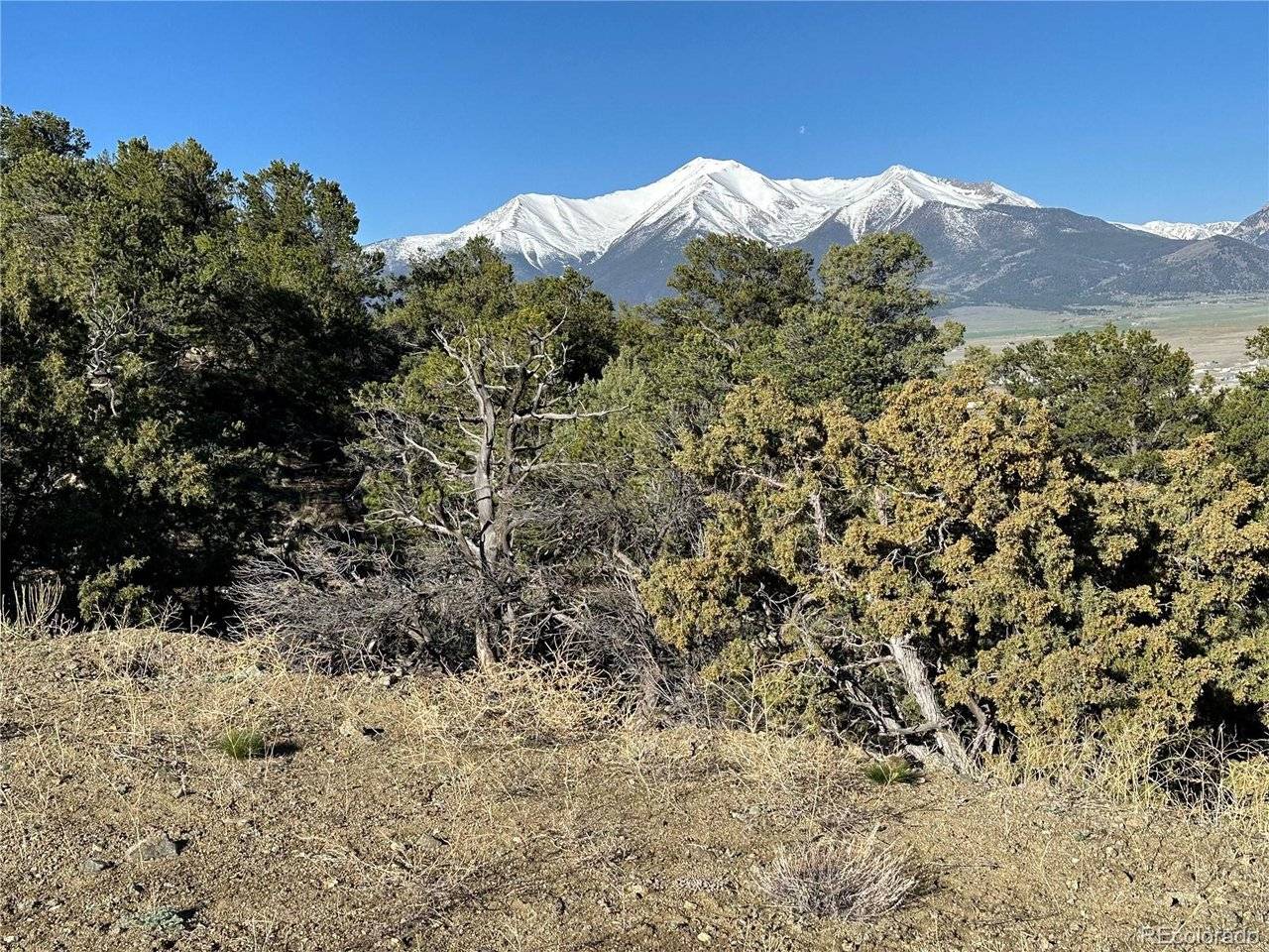 28750 County Road 304, Buena Vista, CO 81211