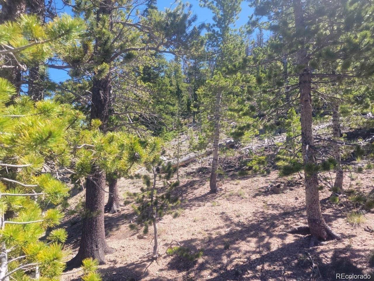 Mine, Idaho Springs, CO 80444