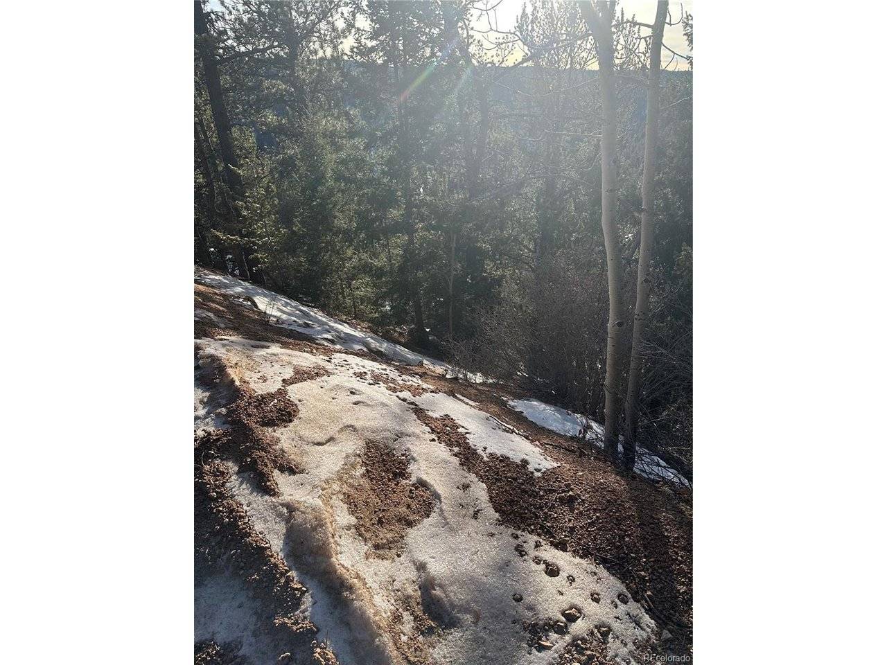 1600 Pikes Peak, Divide, CO 80814